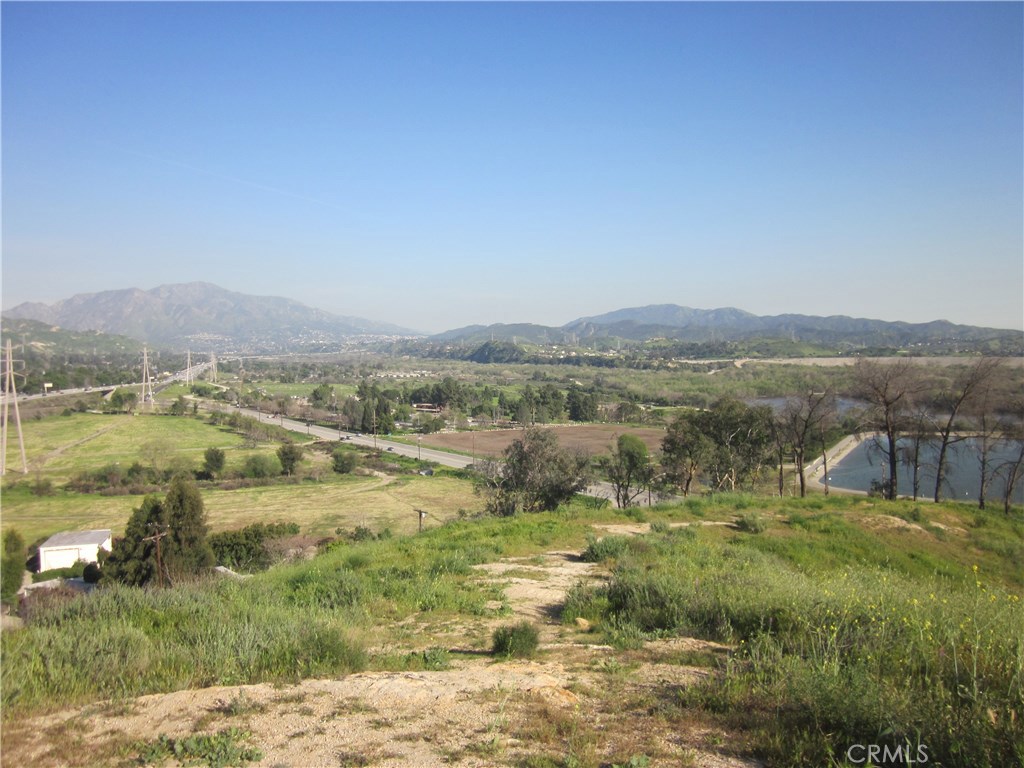 11819 Kagel Canyon Property Photo 7