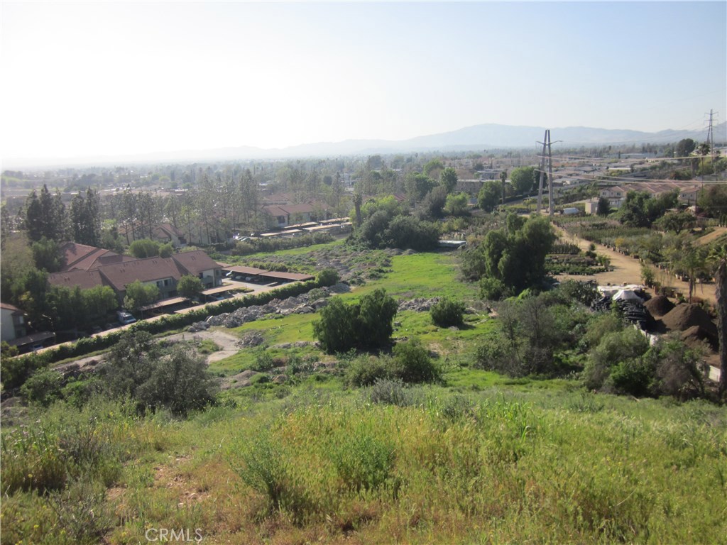 11819 Kagel Canyon Property Photo 8