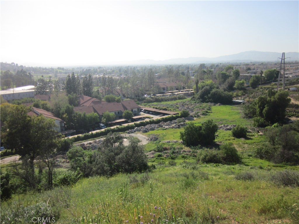 11819 Kagel Canyon Property Photo 9