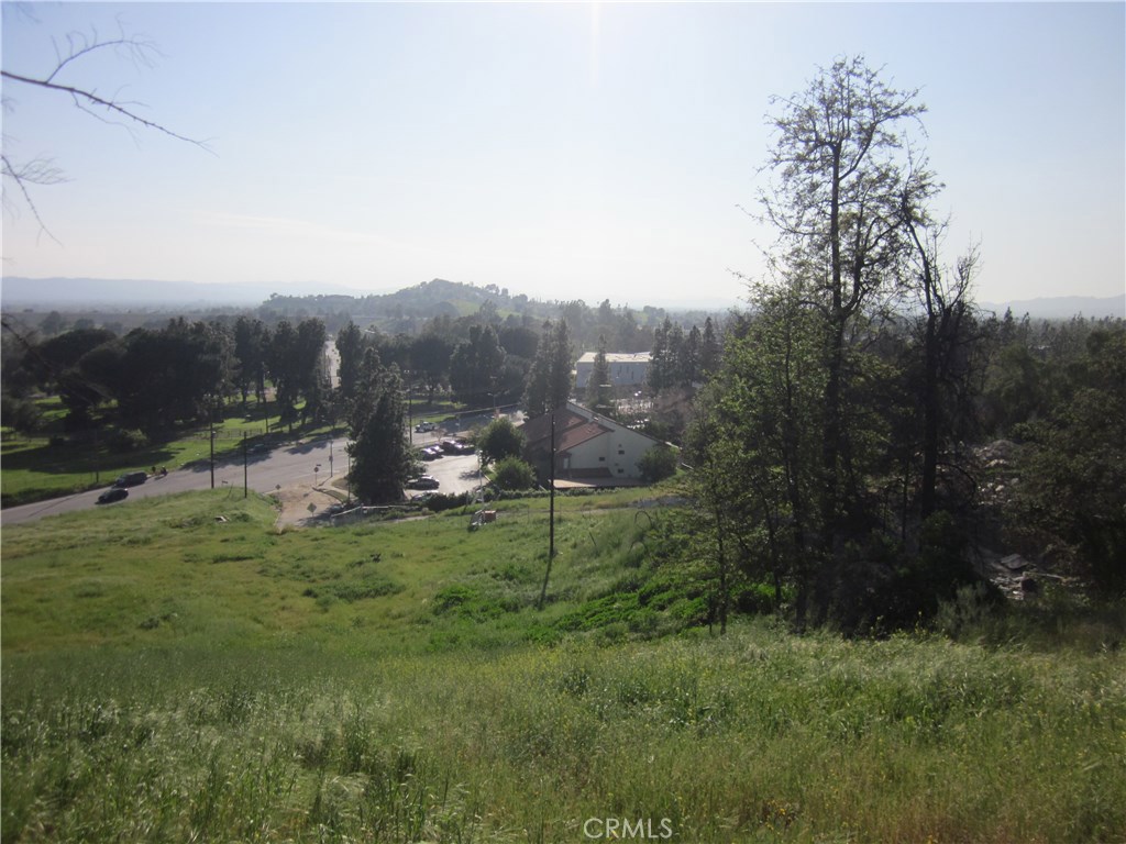 11819 Kagel Canyon Property Photo 10