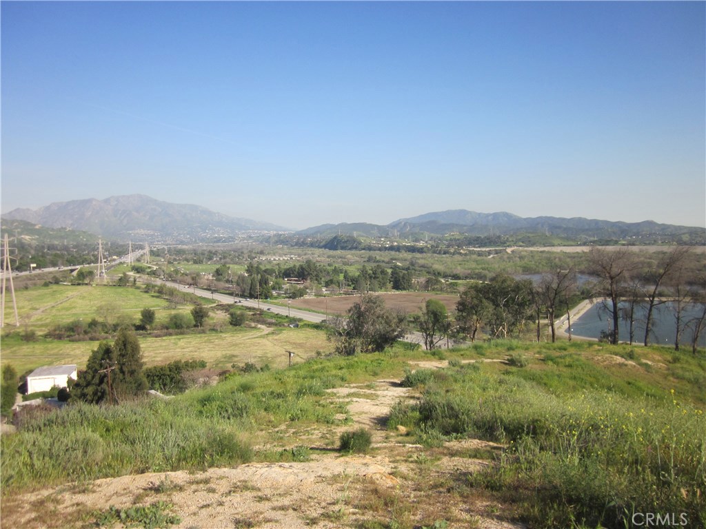 11819 Kagel Canyon Property Photo 12