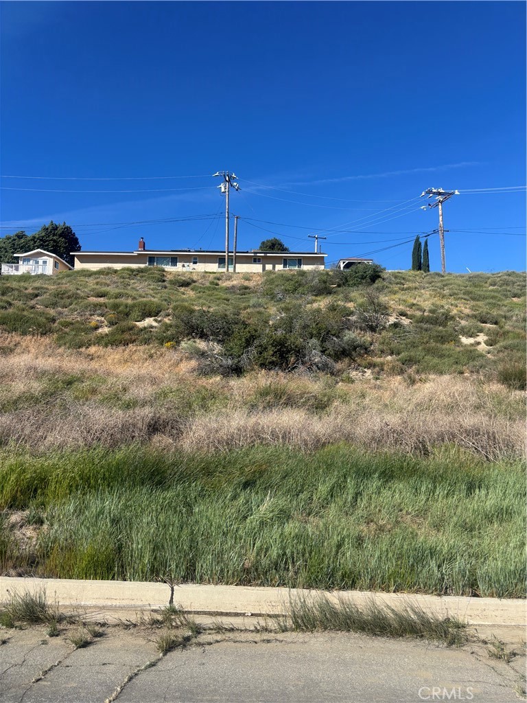 0 Kiptree Property Photo 2