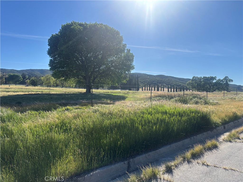 0 Kiptree Property Photo 7