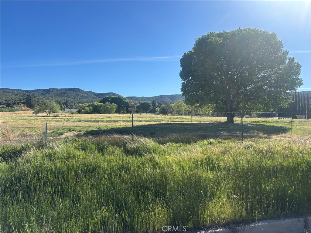 0 Kiptree Property Photo 8