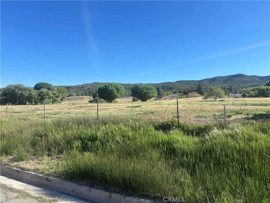 0 Kiptree Property Photo 9