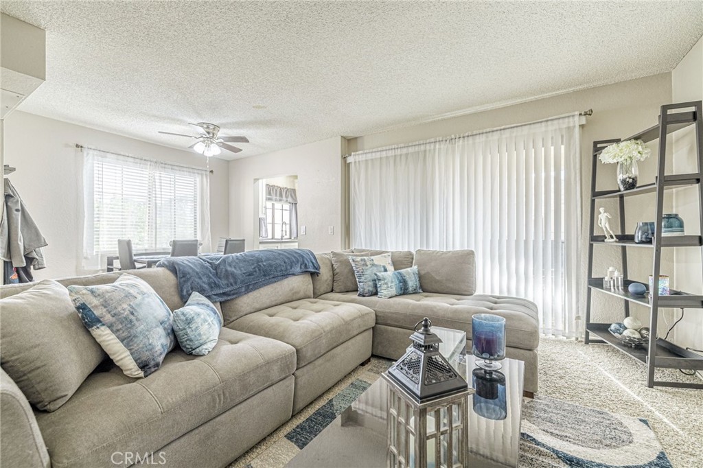 2554 Olive 82 Property Photo 4