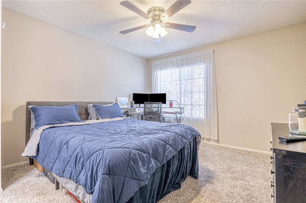2554 Olive 82 Property Photo 19