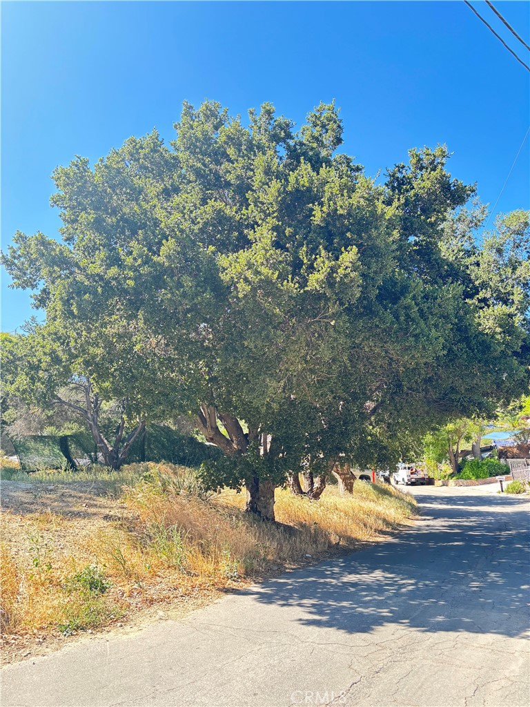 0 Verdale Property Photo 3