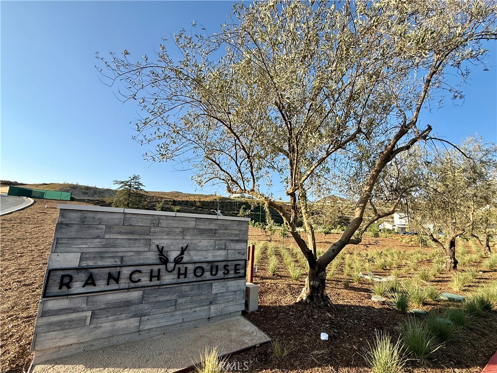 28445 Sunny Ridge Terrace Property Photo 73