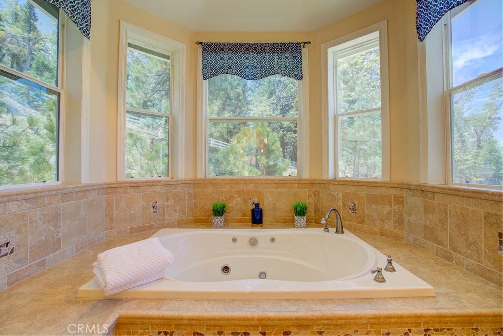 32557 Pine Cone Ct A&b Property Photo 39
