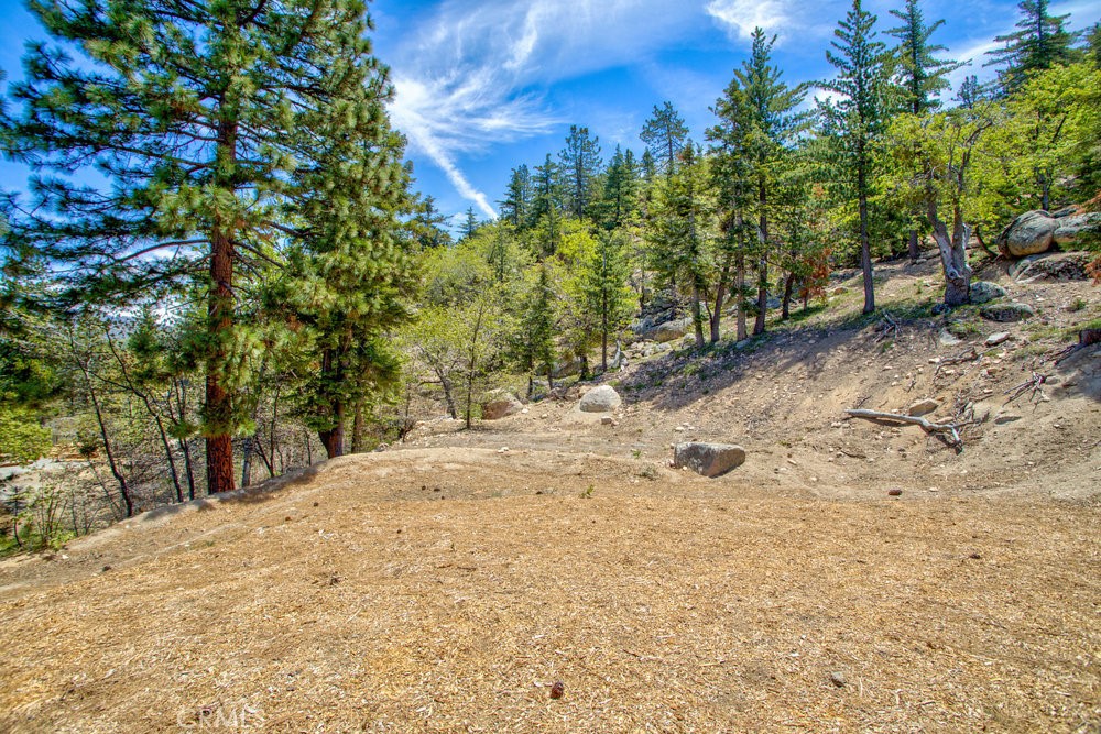 32557 Pine Cone Ct A&b Property Photo 67