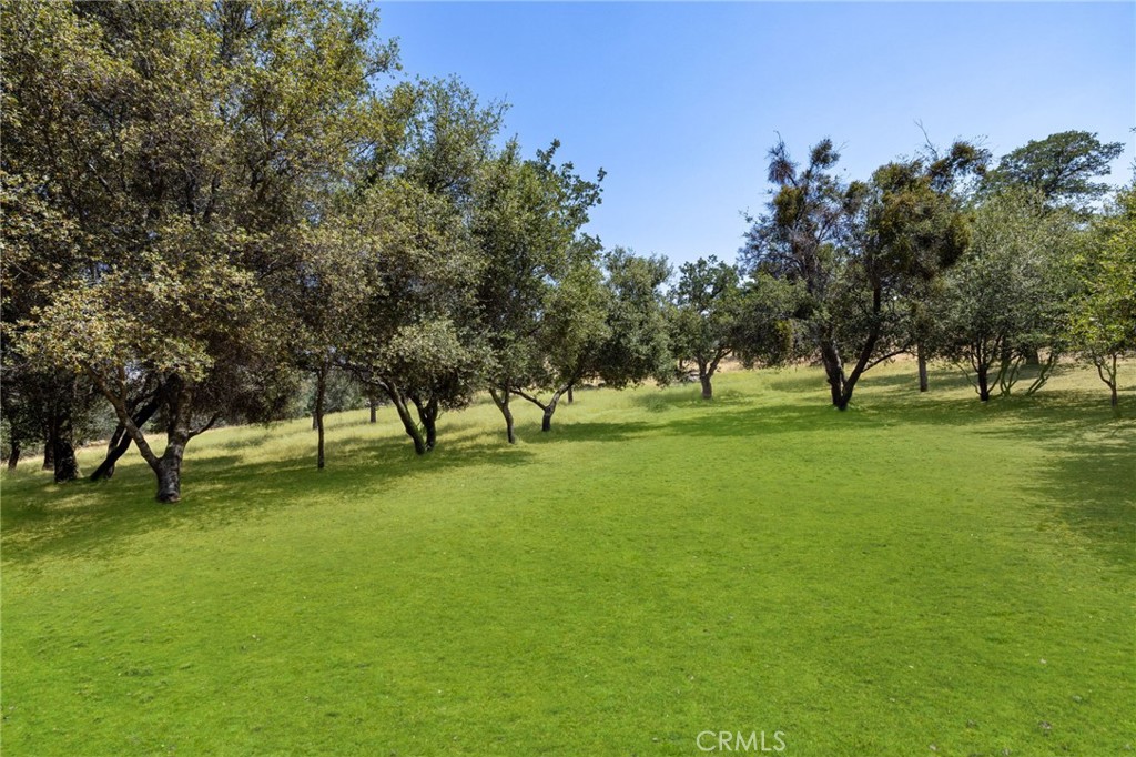 1 Kirkham Court Property Photo 3