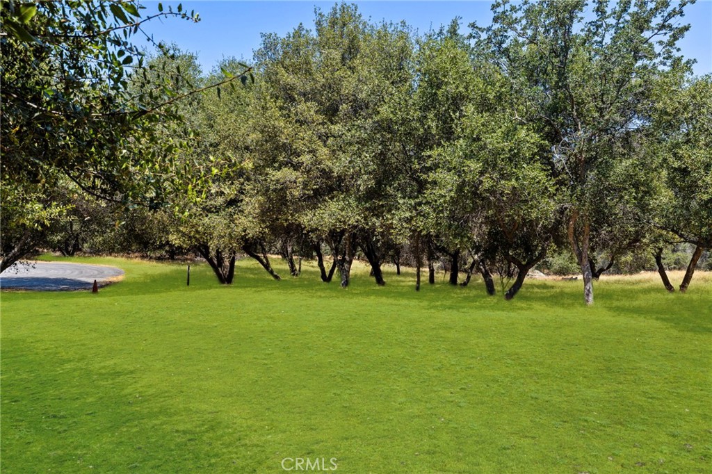 1 Kirkham Court Property Photo 4