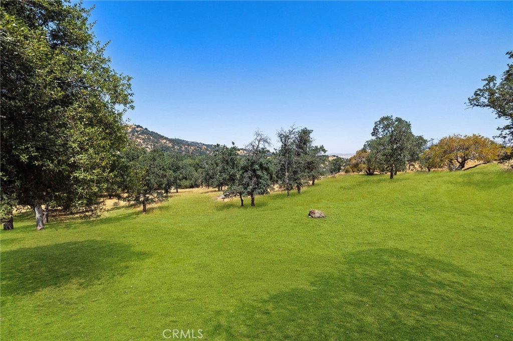 1 Kirkham Court Property Photo 8