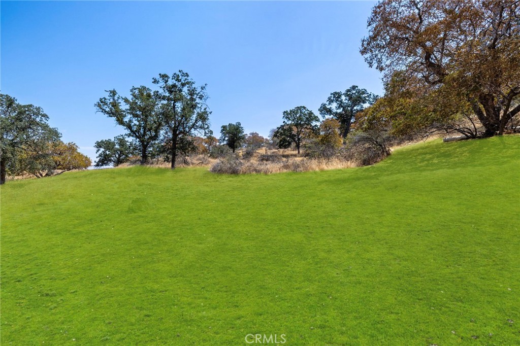 1 Kirkham Court Property Photo 11