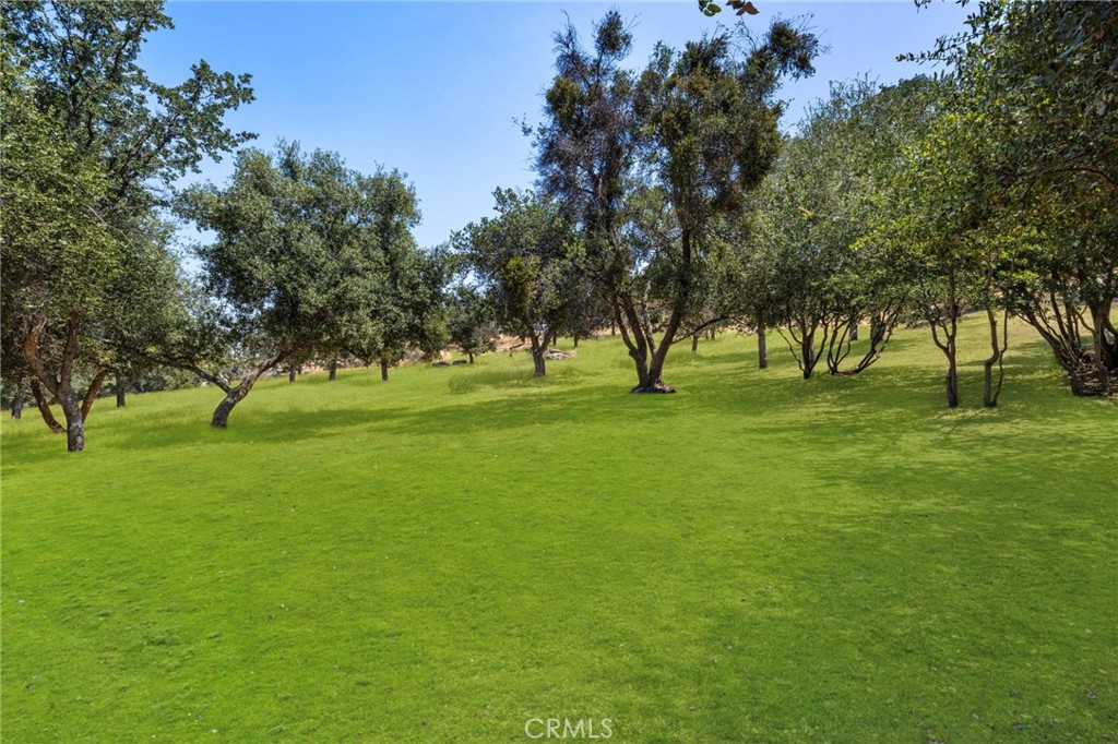 1 Kirkham Court Property Photo 13