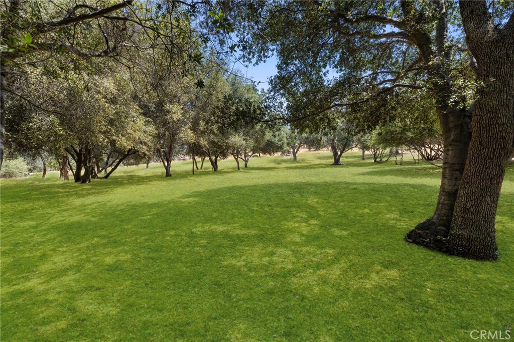 1 Kirkham Court Property Photo 14