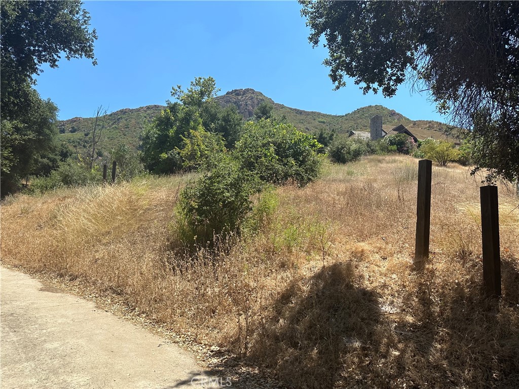 30100 Mulholland Property Photo 10
