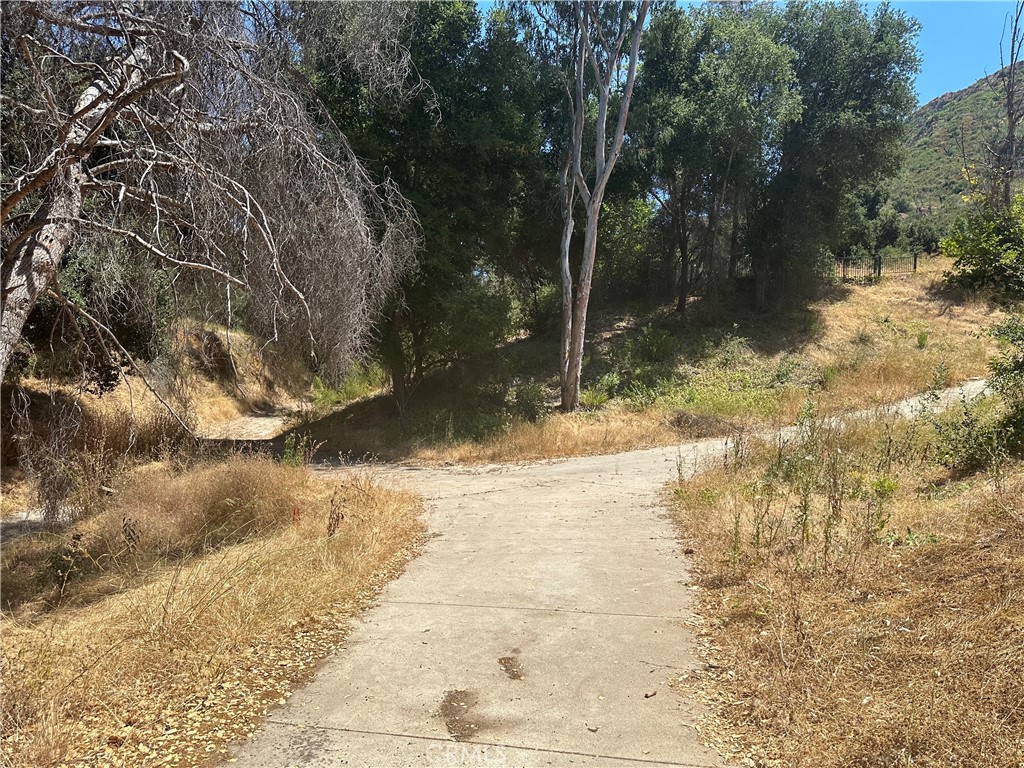 30100 Mulholland Property Photo 11
