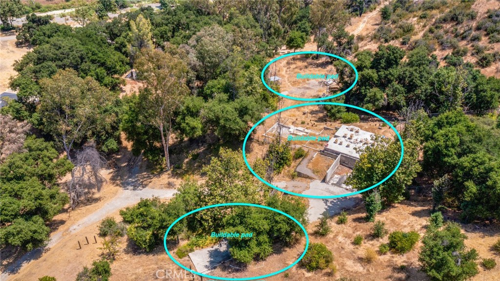 30100 Mulholland Property Photo 13