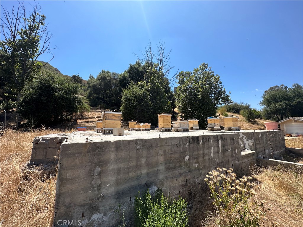 30100 Mulholland Property Photo 17