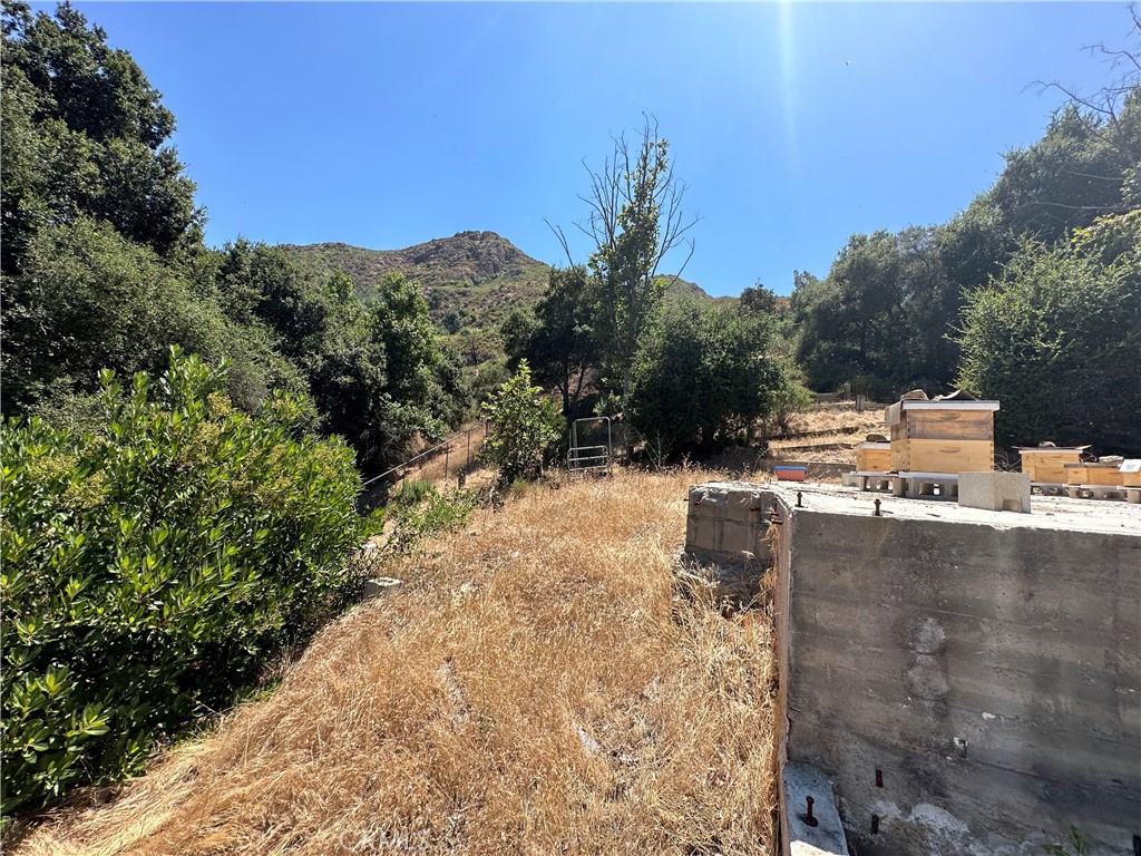30100 Mulholland Property Photo 20