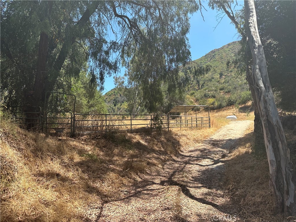 30100 Mulholland Property Photo 25
