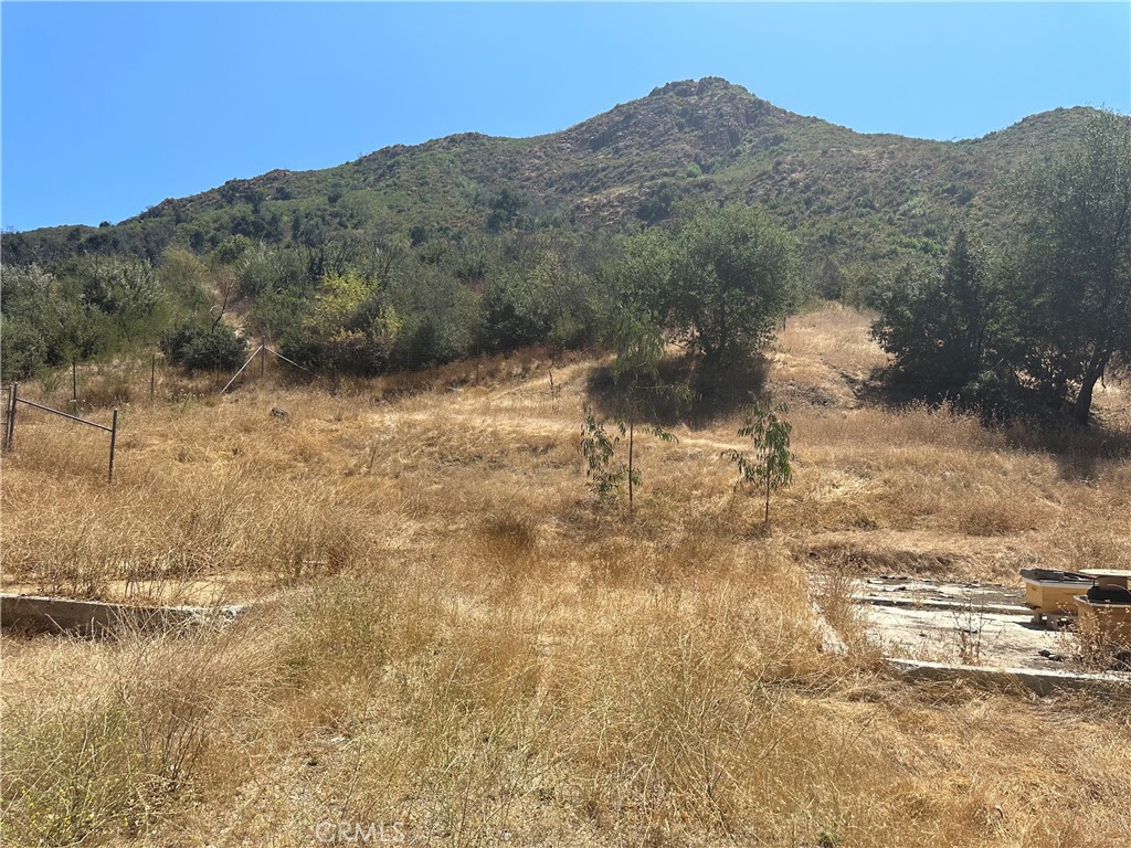 30100 Mulholland Property Photo 28