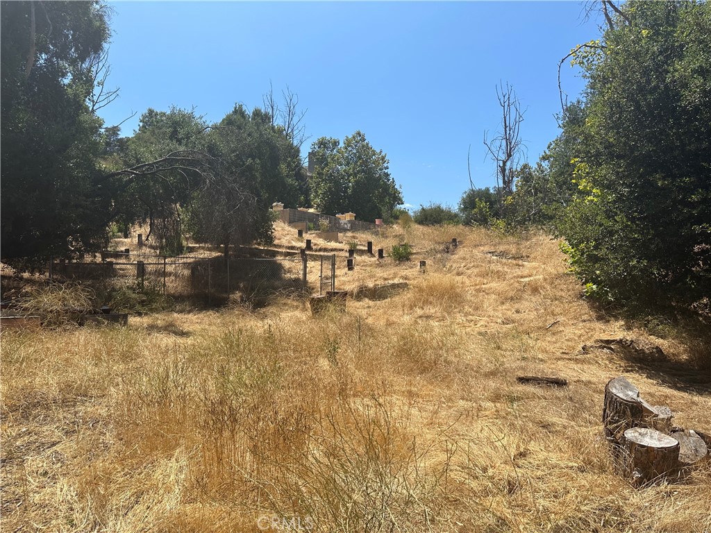 30100 Mulholland Property Photo 29