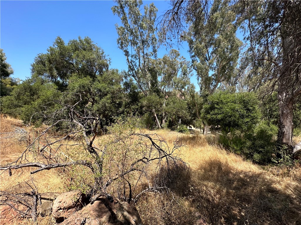 30100 Mulholland Property Photo 30
