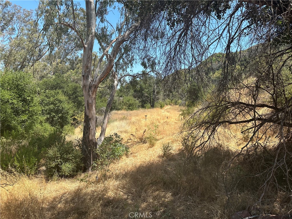 30100 Mulholland Property Photo 31
