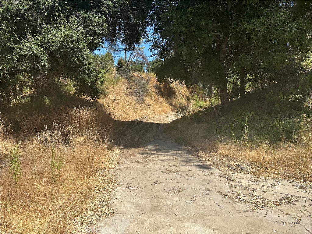 30100 Mulholland Property Photo 32