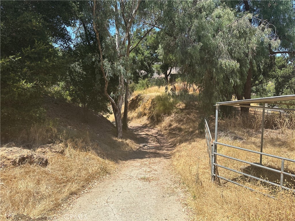 30100 Mulholland Property Photo 33