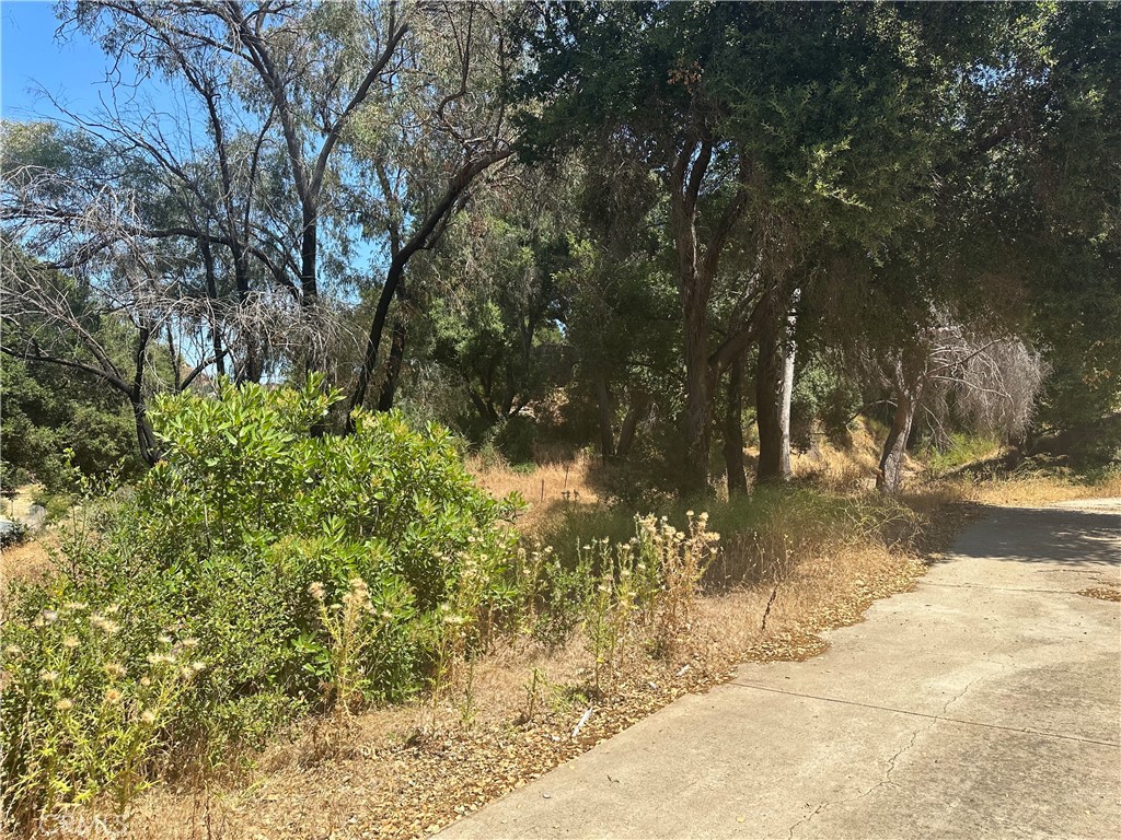 30100 Mulholland Property Photo 34