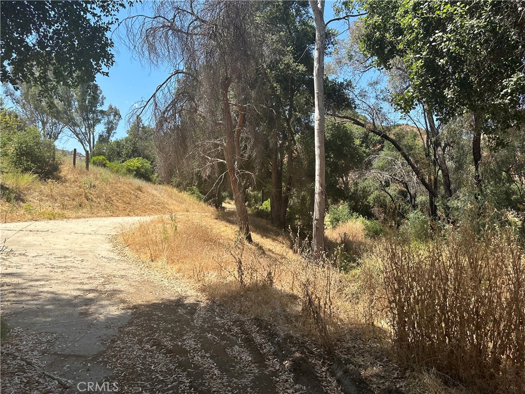 30100 Mulholland Property Photo 35