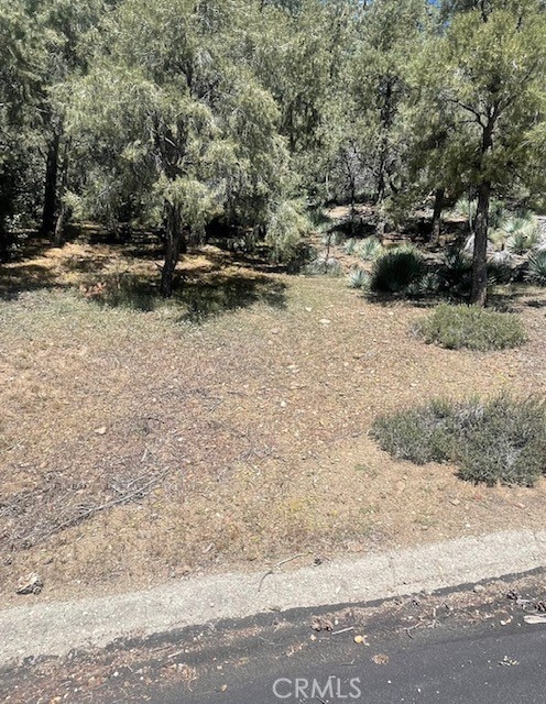 2165 Tyndall Property Photo 2