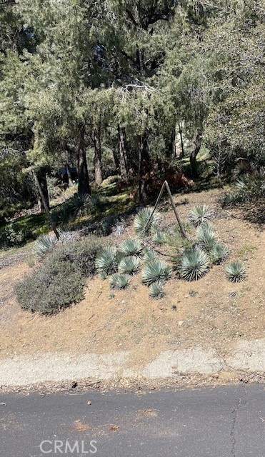2165 Tyndall Property Photo 3