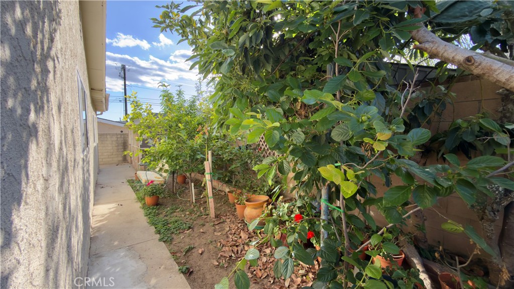 1011 Shadow Property Photo 4