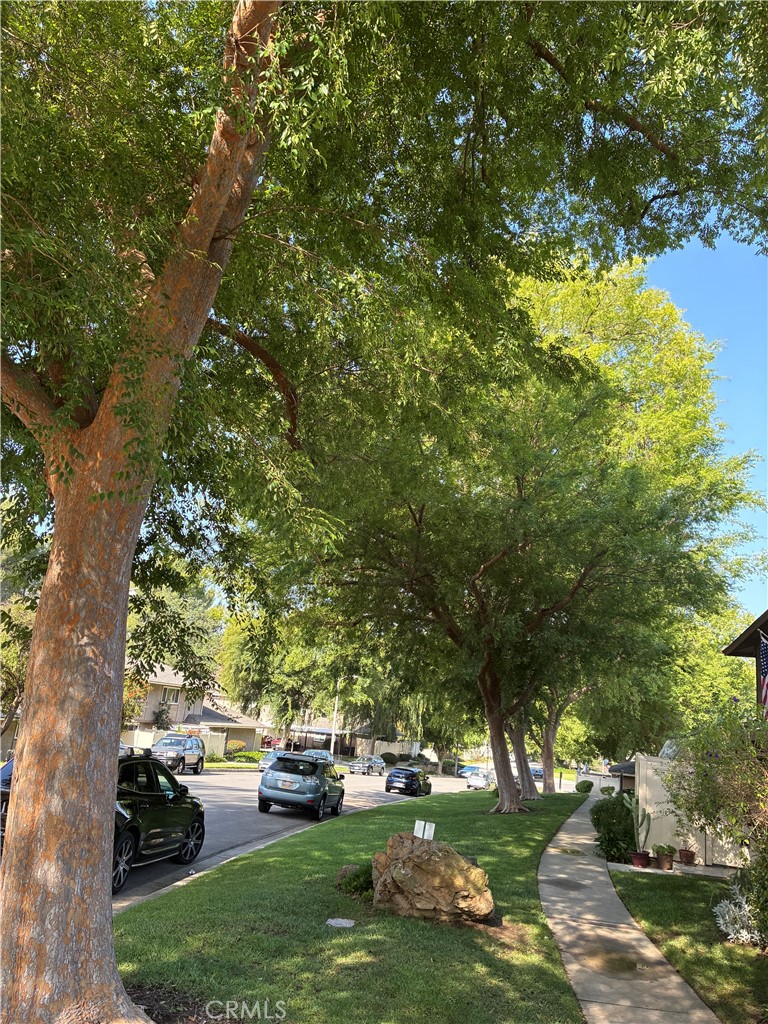 28835 Conejo View Drive Property Photo 34