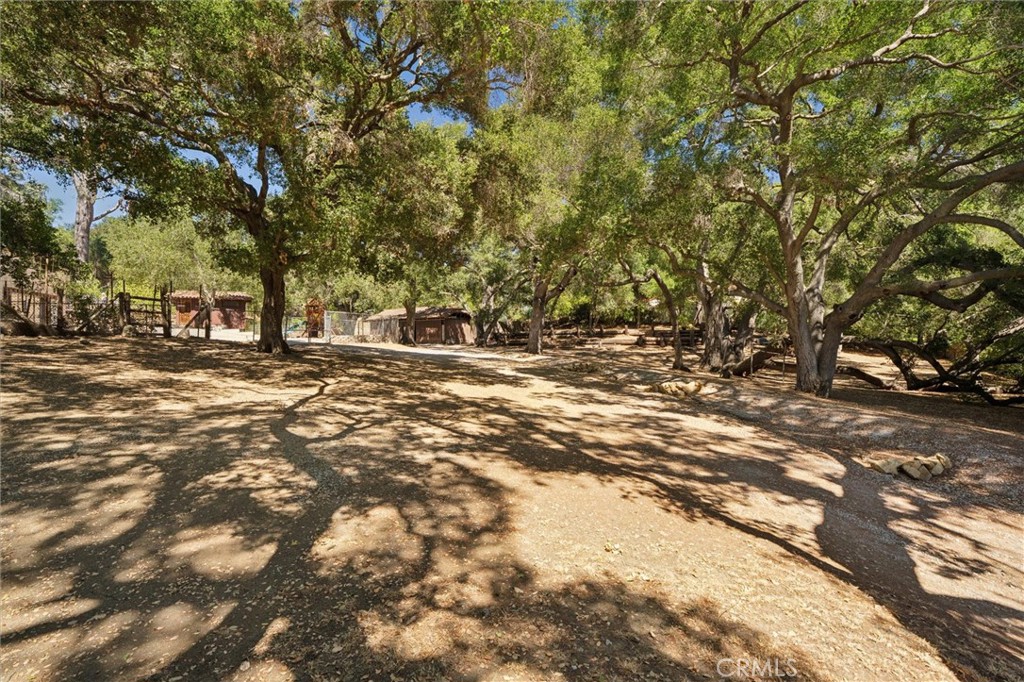736 Crater Oak Drive Property Photo 22