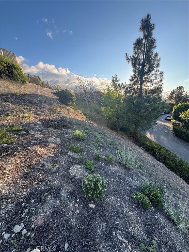 23808 Bella Vista Property Photo 25