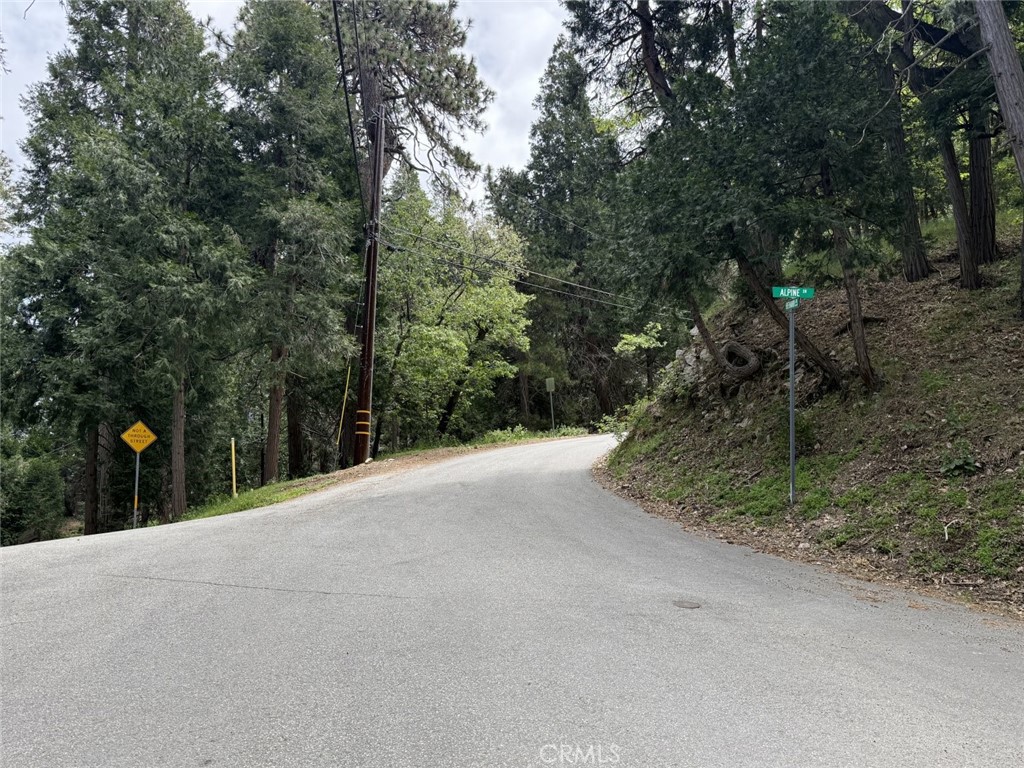 0 Alpine Court Property Photo 3