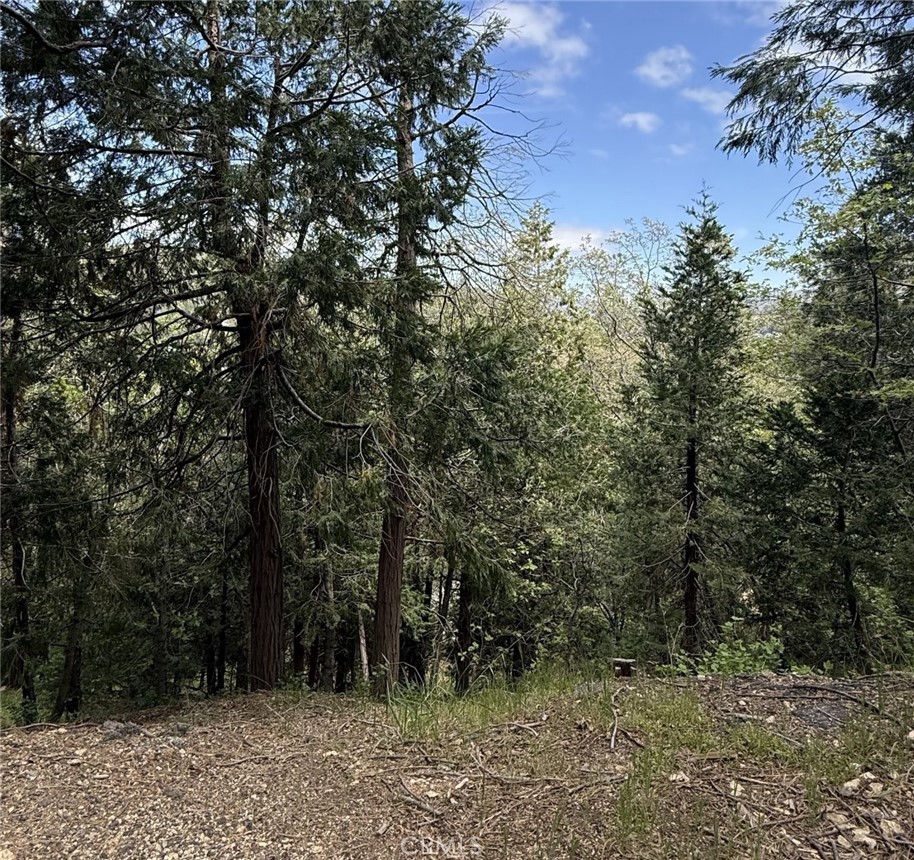 0 Alpine Court Property Photo 6