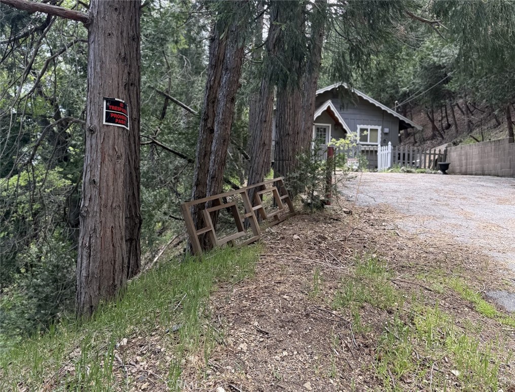 0 Alpine Court Property Photo 9