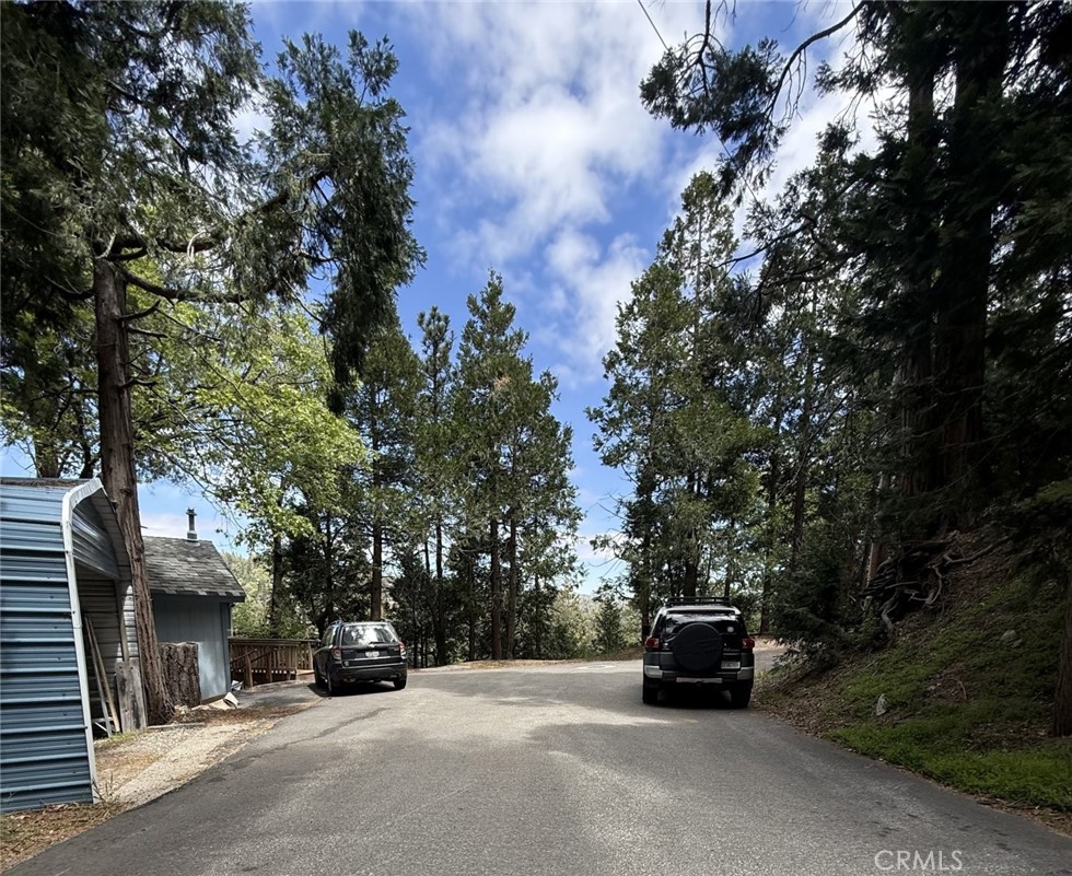 0 Alpine Court Property Photo 11
