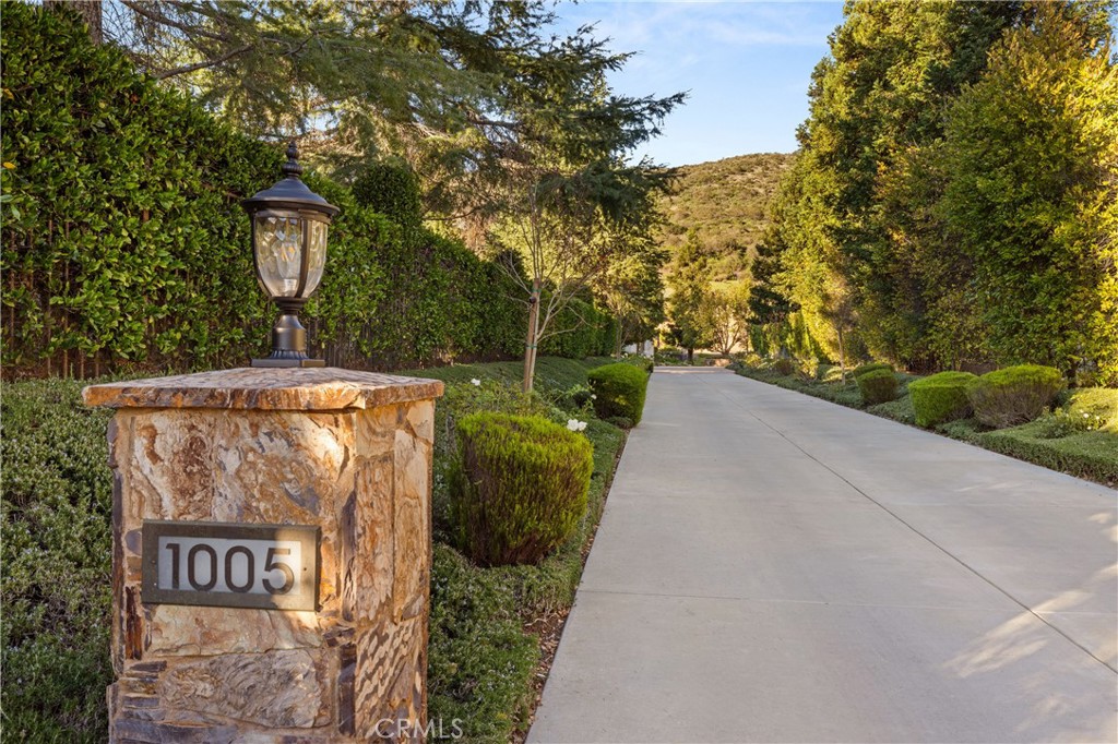 1005 Cheshire Hills Court Property Photo 11