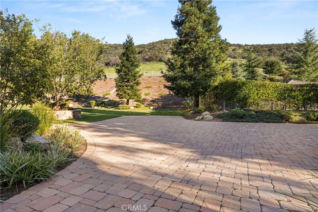 1005 Cheshire Hills Court Property Photo 14