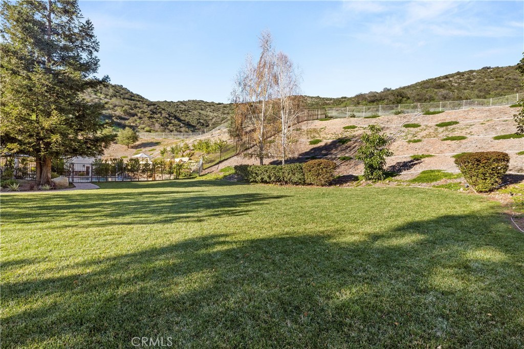 1005 Cheshire Hills Court Property Photo 15
