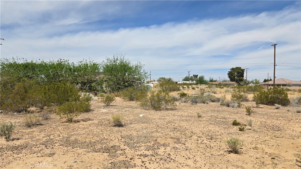 0 Calhoun Drive Property Photo 19