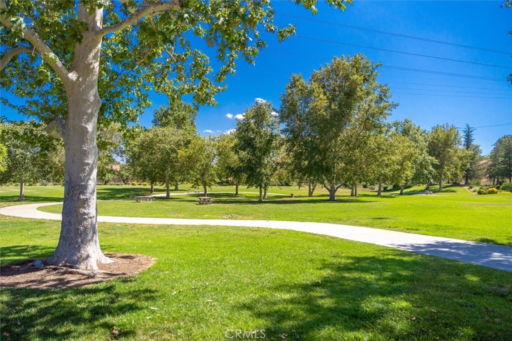 28523 Red Cedar Property Photo 42